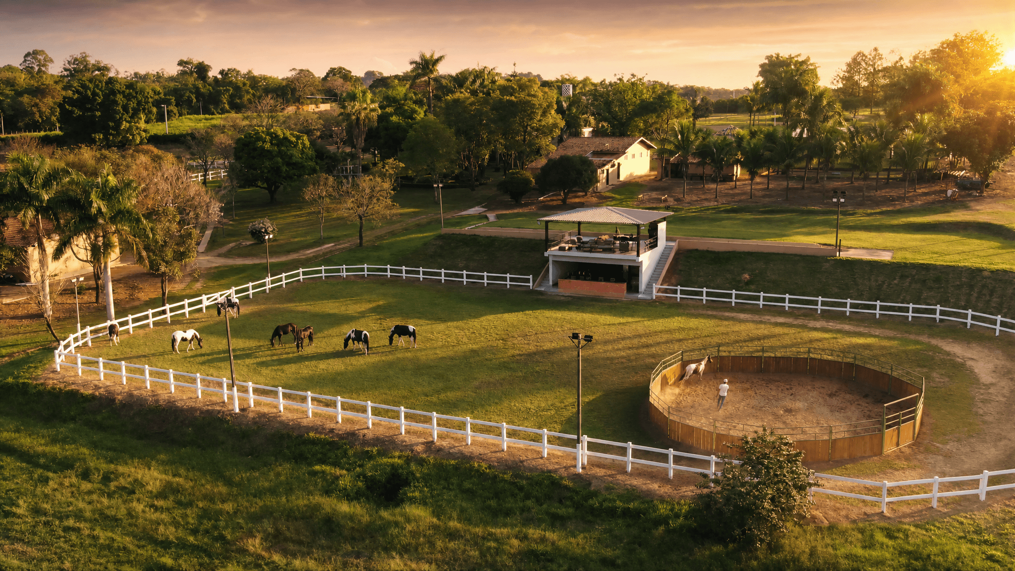Haras TH Marchador ao entardecer